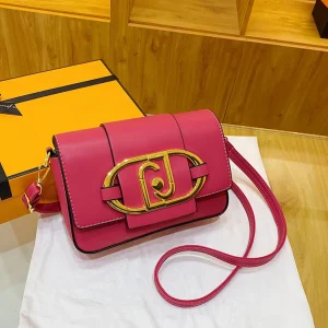 Sacs à Main de Styliste en Cuir avec Rabat en Métal pour Femme, Sacoches Carrées Décontractées à la Mode, 2024