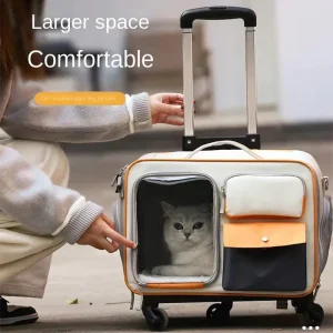Les animaux de compagnie sortir avec des chariots portables valises petits chiens chats peuvent utiliser des sacs valise pour chat haute apparence capsule spatiale de voyage