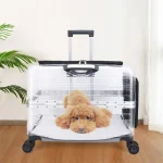 Valise d&rsquo;extérieur pour animaux de compagnie, étui de grande capacité, Portable, entièrement Transparent, mallette de transport pour chat, fournitures respirantes pour animaux de compagnie