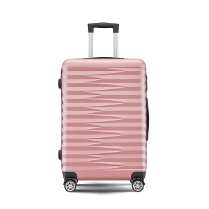 Valise de Voyage à Roulettes de Grande Capacité pour Étudiant, Bagage observateur avec Fermeture Éclair