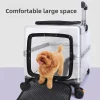 valise d'extérieur pour animaux de compagnie, étui de grande capacité, portable, entièrement transparent, mallette de transport pour chat, fournitures respirantes pour animaux de compagnie