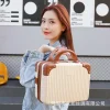 Étui de maquillage, Mini valise de voyage de 14 pouces, boîte à cosmétiques, organisateur de bagages à main, petite mallette d’embarquement
