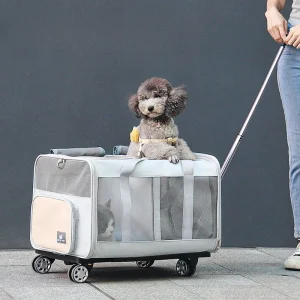 Valise à roulettes multifonctionnelle pour animaux de compagnie, sac à main pour animaux de compagnie, multi-animal de compagnie, voyage en plein air, extensible, pliable, chien