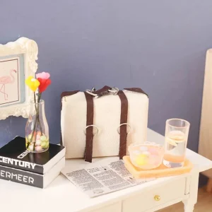 Maison de poupée meubles poupée cuir bagages Miniature valise modèle maison de poupée Mini valise en cuir Portable