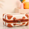 valise de maquillage vintage portable pour garçons et filles, étui de voyage extérieur, grande capacité, 14 ", nouveau