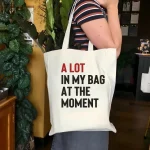 Un lot dans mon sac au moment Taylor, fourre-tout Portable pour femmes, fourre-tout inspiré de Eras Tour, sac fourre-tout en toile avec Album rouge