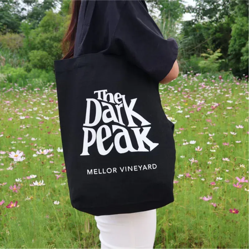 sac de shopping personnalisé, sac fourre-tout en toile avec logo, vente en gros en vrac, 100 pièces/lot, sac en coton réutilisable
