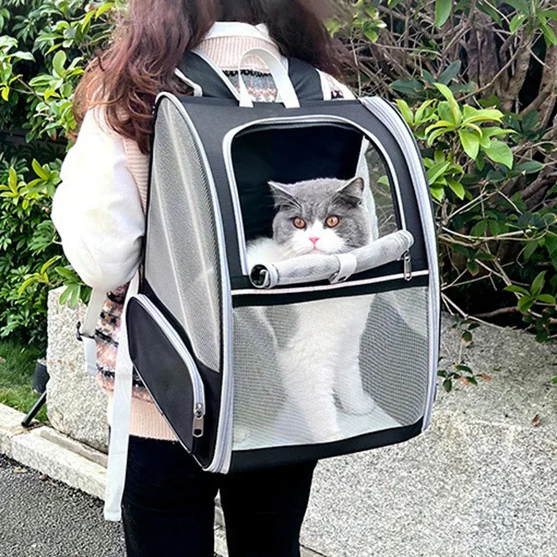 sac à dos de transport pour animaux de compagnie, pour petits chats et chiens, chiots, caractéristiques de sécurité et coussin arrière, sac de transport pour les déplacements, fermetures éclair de sécurité