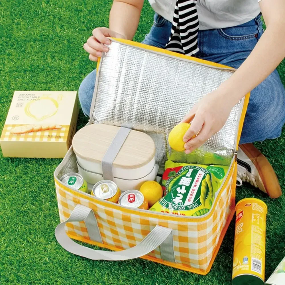 sac de rangement isotherme à carreaux pour femme, sac fourre-tout pour pique-nique printanier, sac à main pour aliments, sac de camping pour conservation des aliments
