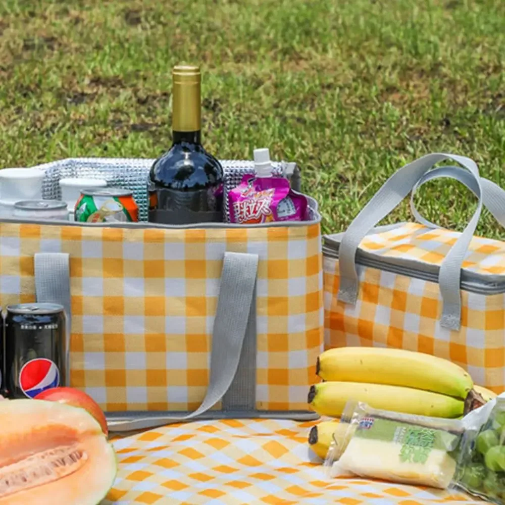 sac de rangement isotherme à carreaux pour femme, sac fourre-tout pour pique-nique printanier, sac à main pour aliments, sac de camping pour conservation des aliments