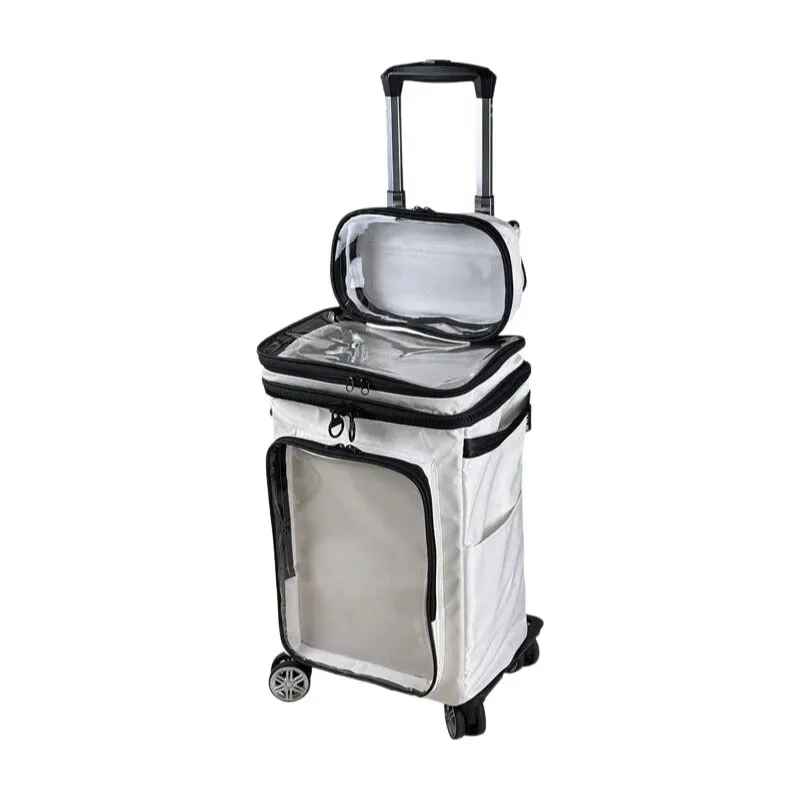 bagage transparent de dessin animé de style harajuku 20 pouces, sac de cabine en pvc transparent, valise à roulettes transparente avec roulettes
