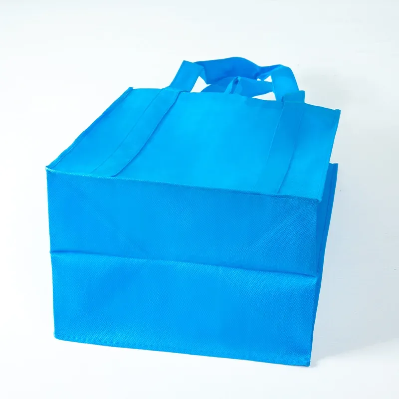 sac à provisions non tissé de grande capacité, sac fourre-tout pliable, sacs fourre-tout réutilisables, sac à main de voyage extérieur, pocommuniste de rangement