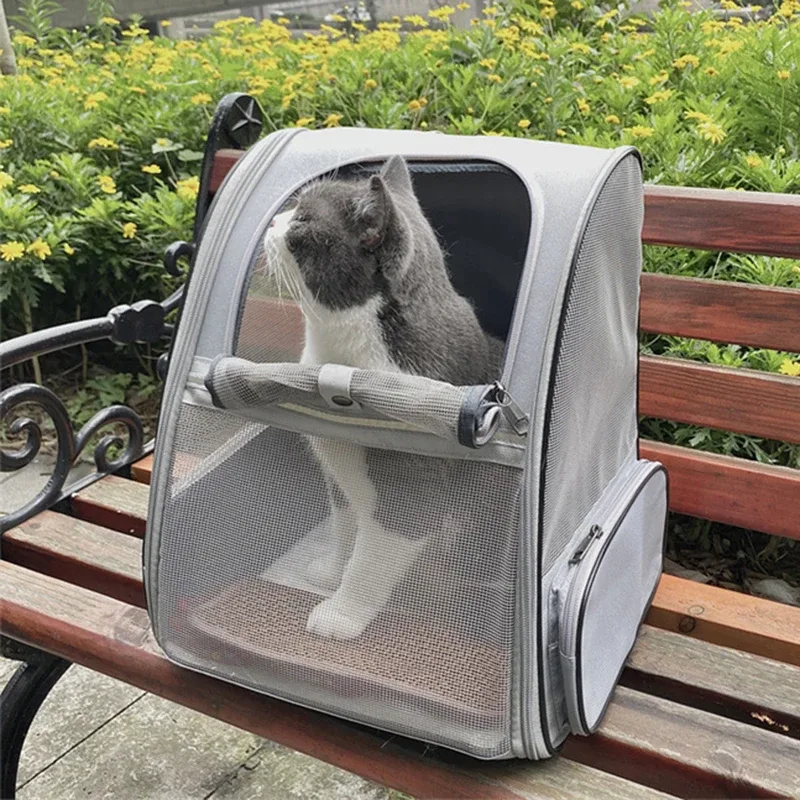 sac à dos de transport pour animaux de compagnie, pour petits chats et chiens, chiots, caractéristiques de sécurité et coussin arrière, sac de transport pour les déplacements, fermetures éclair de sécurité