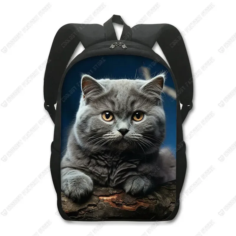 sac à dos chat mignon chat persan/siamese, sacs d'école pour enfants pour adolescents, chat britannique écossais, sacs à dos pour ordinateur portable, sac de livre chaton