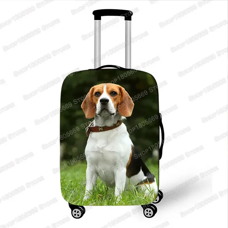 housses de bagage de troupeau des contribuables allemands, housse de protection anti-poussière élastique, étui à bagages bulldog belaurtravel, housses de valise, 18-32 ans