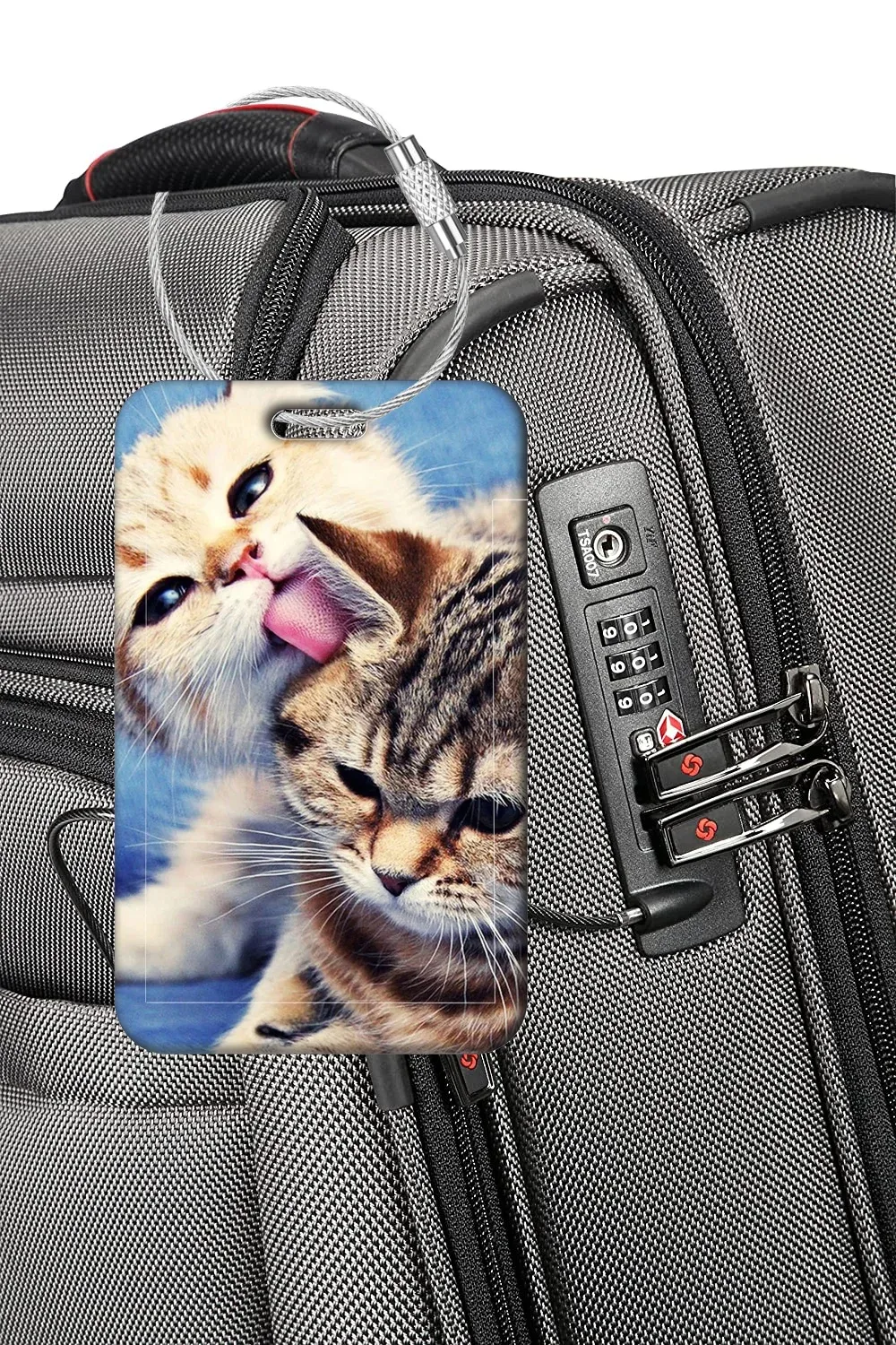 étiquettes de bagage chat mignon, porte-adresses et noms pour valises, étiquettes de bagage chaton, accessoires de voyage pour valises