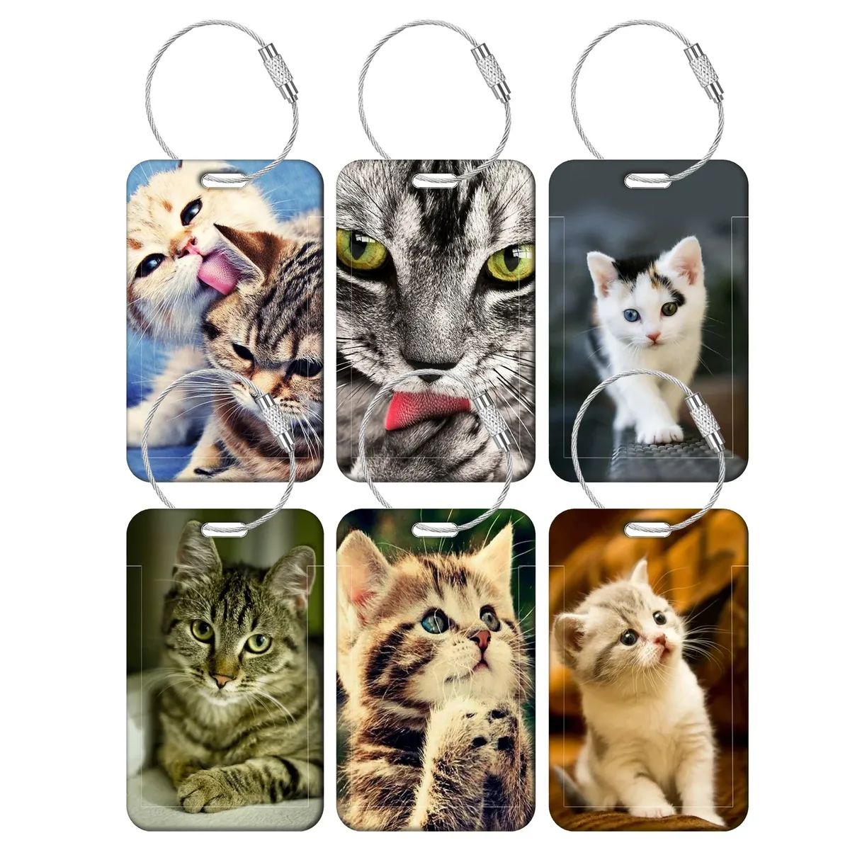 étiquettes de bagage chat mignon, porte-adresses et noms pour valises, étiquettes de bagage chaton, accessoire