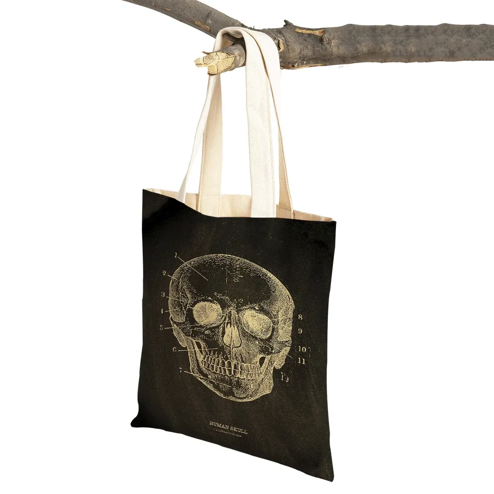 vintage squelette anatomique tableau crâne shopper sac fourre-tout dame sac à main décontracté toile coeur double impression femmes sacs à provisions