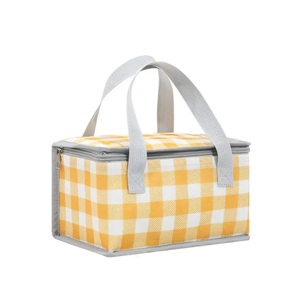 sac de rangement isotherme à carreaux pour femme, sac fourre-tout pour pique-nique printanier, sac à main pour aliments, sac de camping pour conservation des aliments