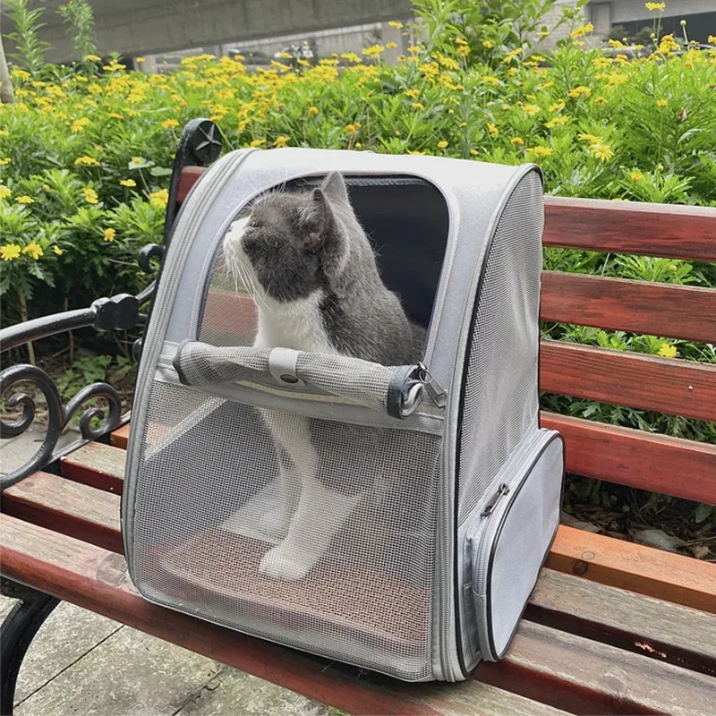 sac à dos de transport pour animaux de compagnie, pour petits chats et chiens, chiots, caractéristiques de sécurité et coussin arrière, sac de transport pour les déplacements, fermetures éclair de sécurité