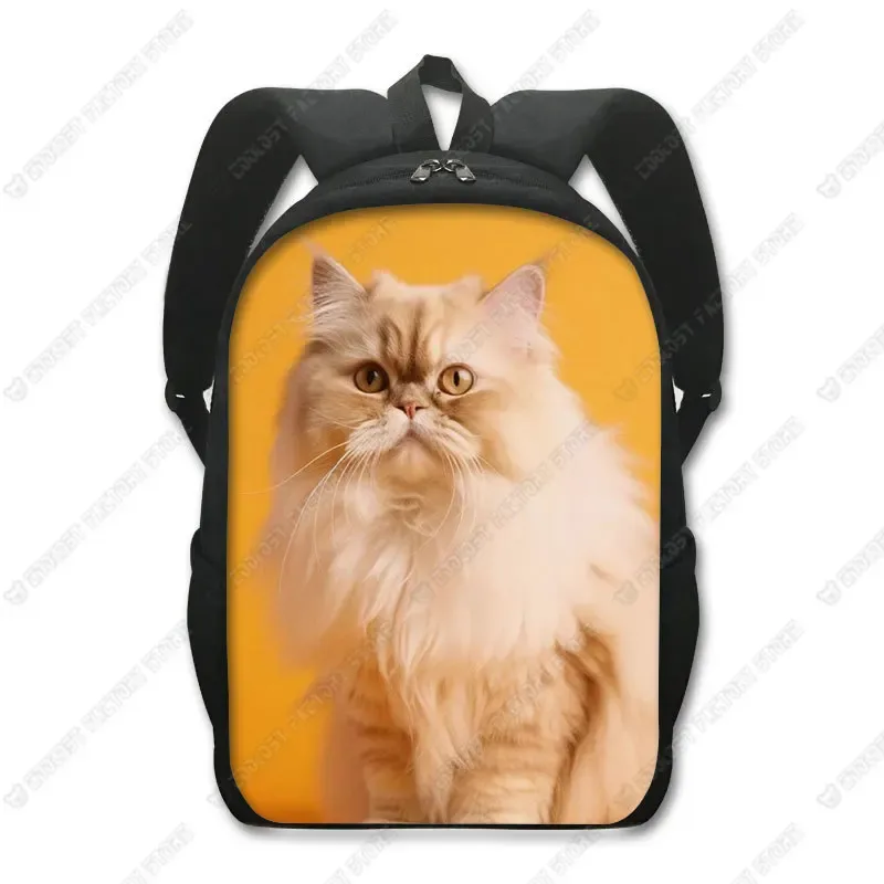 sac à dos chat mignon chat persan/siamese, sacs d'école pour enfants pour adolescents, chat britannique écossais, sacs à dos pour ordinateur portable, sac de livre chaton