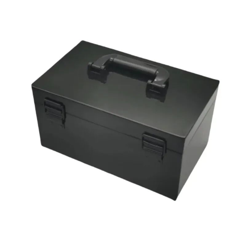 Boîte à outils en fer portable avec verrouillage par mot de passe – Mallette de rangement étanche et ignifuge pour documents, instruments et usage domestique/bureau