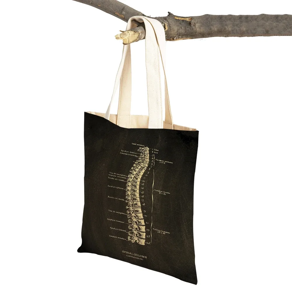 vintage squelette anatomique tableau crâne shopper sac fourre-tout dame sac à main décontracté toile coeur double impression femmes sacs à provisions