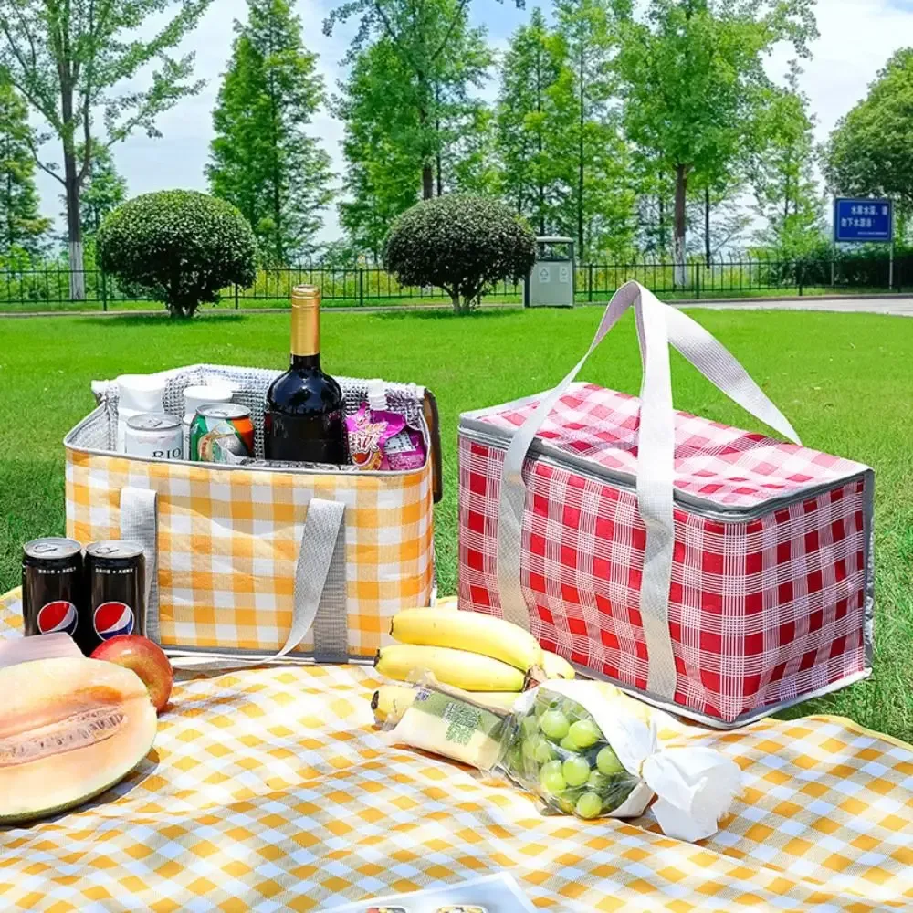 sac de rangement isotherme à carreaux pour femme, sac fourre-tout pour pique-nique printanier, sac à main pour aliments, sac de camping pour conservation des aliments