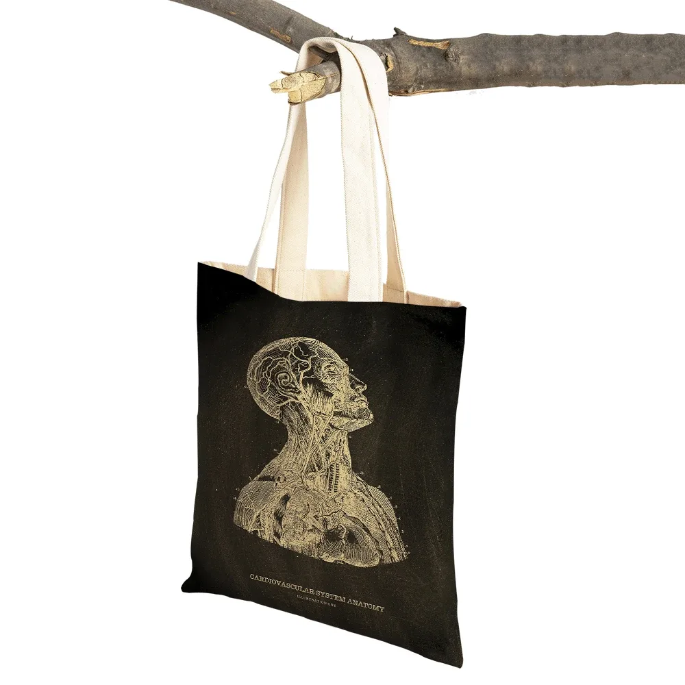 vintage squelette anatomique tableau crâne shopper sac fourre-tout dame sac à main décontracté toile coeur double impression femmes sacs à provisions