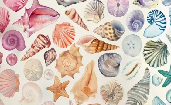 sac de maquillage coloré en forme de coquillage, pochette de voyage sur le thème de la vie marine, idéal pour les femmes et les hommes, cadeau idéal pour les passionnés de mer, sac de voyage pour maquillage