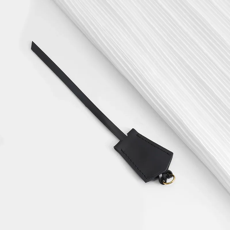 étiquette de bagage carte d'embarquement pour speedy 25 30 porte-clés souple sac suspendu sac de remplacement sangle sac insérer accessoires de modification