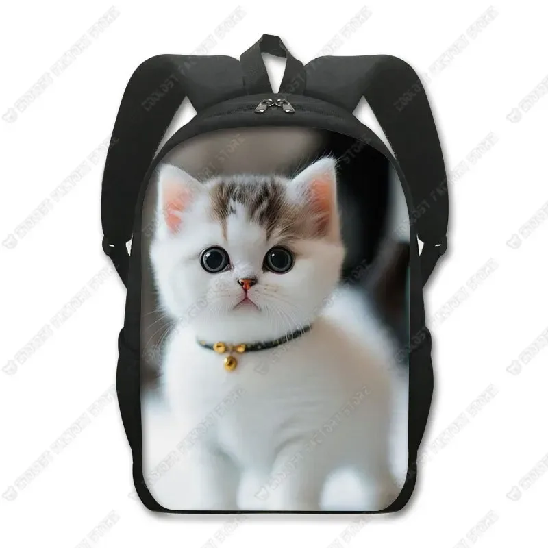 sac à dos chat mignon chat persan/siamese, sacs d'école pour enfants pour adolescents, chat britannique écossais, sacs à dos pour ordinateur portable, sac de livre chaton
