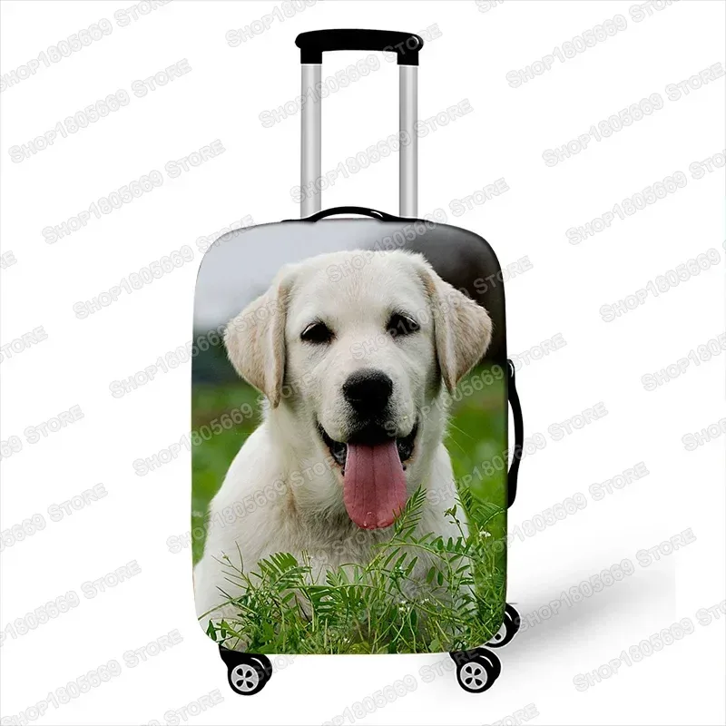 housses de bagage de troupeau des contribuables allemands, housse de protection anti-poussière élastique, étui à bagages bulldog belaurtravel, housses de valise, 18-32 ans